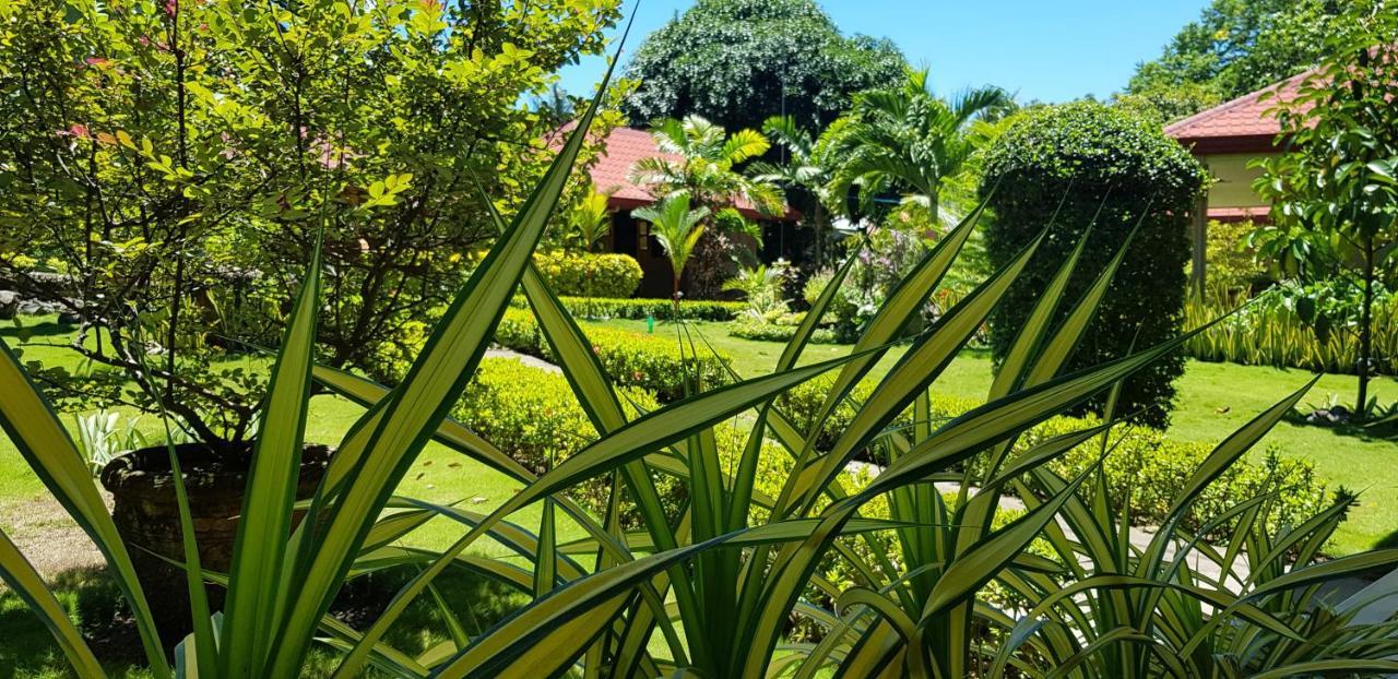 Mountain View Cottages Mambajao Exterior foto